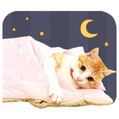 갈색얼룩 고양이 먀의 스탬프(문자 없음판)