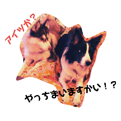 My_20181124170551