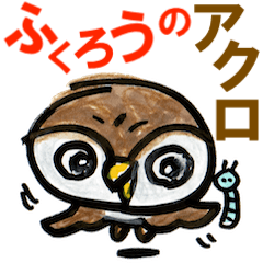 Acro of Little owl