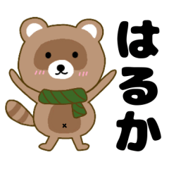 Raccoon2 Haruka