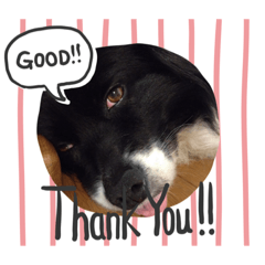 saori_20181124192048