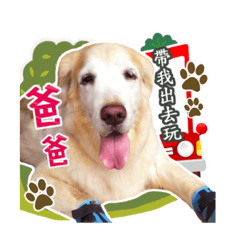 胖妞的日常語錄