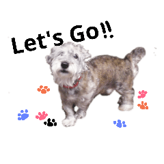 It is a dog's daily