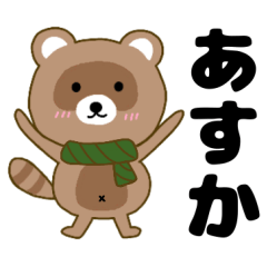 Raccoon2 Asuka