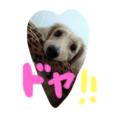 loverywanko