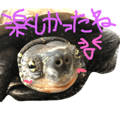 Megu_20181121175430