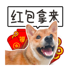 哈利-與榮華小夥伴