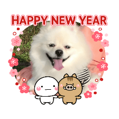 Pomeranian Myu's New Year's Stamp 2019