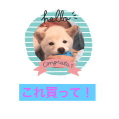 ume_20181124100725