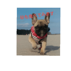 kurumi_20181125143607