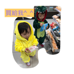 我家也有雙胞胎