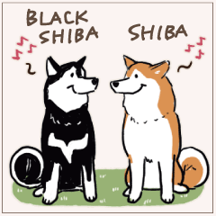 Every Day Dog Shiba & Black Shiba