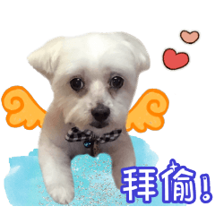 DiDi ( 語錄 )