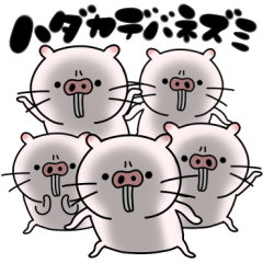 ハダカデバネズミと申します Line スタンプ Line Store