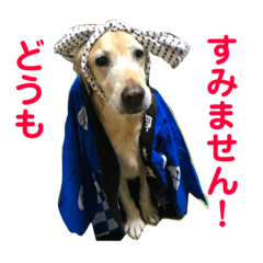 Sak_20181126172401