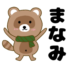 Raccoon2 Manami