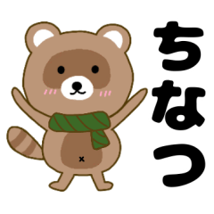 Raccoon2 Tinatu