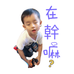 雙寶媽咪