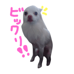 arisa_20181127002334