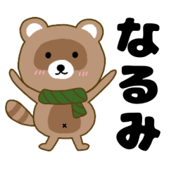 Raccoon2 Narumi