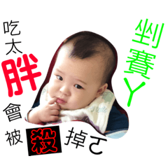 胖胖的一歲人生