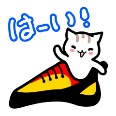 Cute kittens & cool climbing shoes