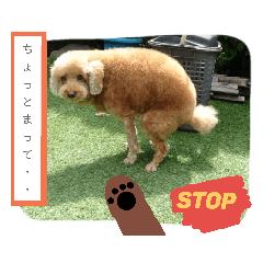 Dogs -eqsy to use stamp-