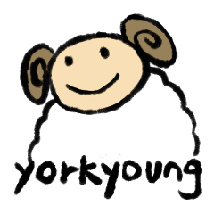 yorkyoung 3