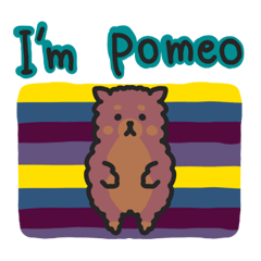 Pomeranian A Pomeo!!