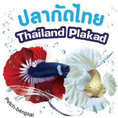Thailand Plakad