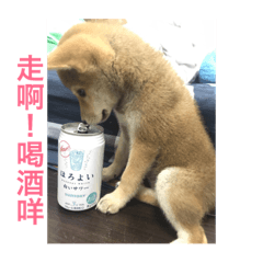Ruby柴棒