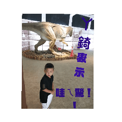 我的小寶貝❤