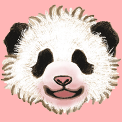 real panda baby