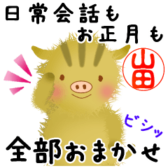Soft and fluffy wild boar for Yamada