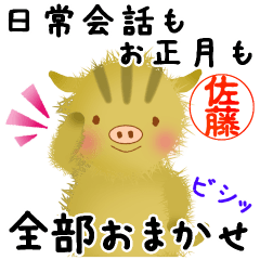 Soft and fluffy wild boar for Sato