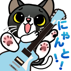 Cats playing the guitar