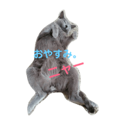 16CATS!!