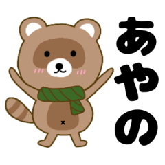 Raccoon2 Ayano