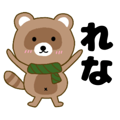 Raccoon2 Rena