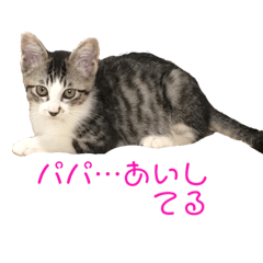 siro_20181128121450