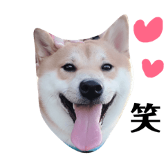 咪嚕呀