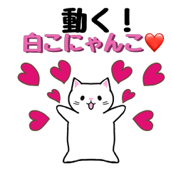 Moving little white cat