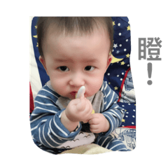 小安安的生活