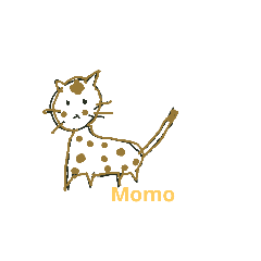 Cat Momo etc.