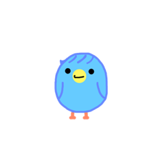 blue bird's animal