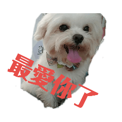 安安！你好！