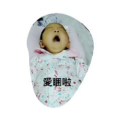 心肝寶貝布丁