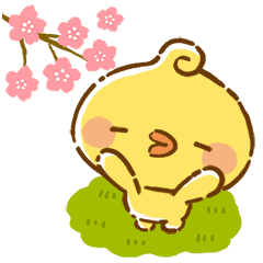 Piyomaru Spring Seasonal Animated