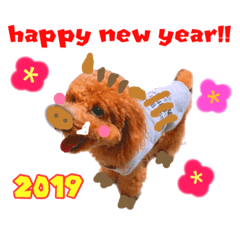 happy new year.toypoodle .