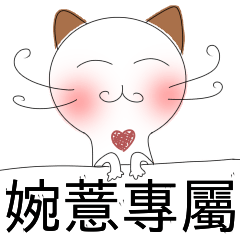 Saitama Dedicated - shy cat